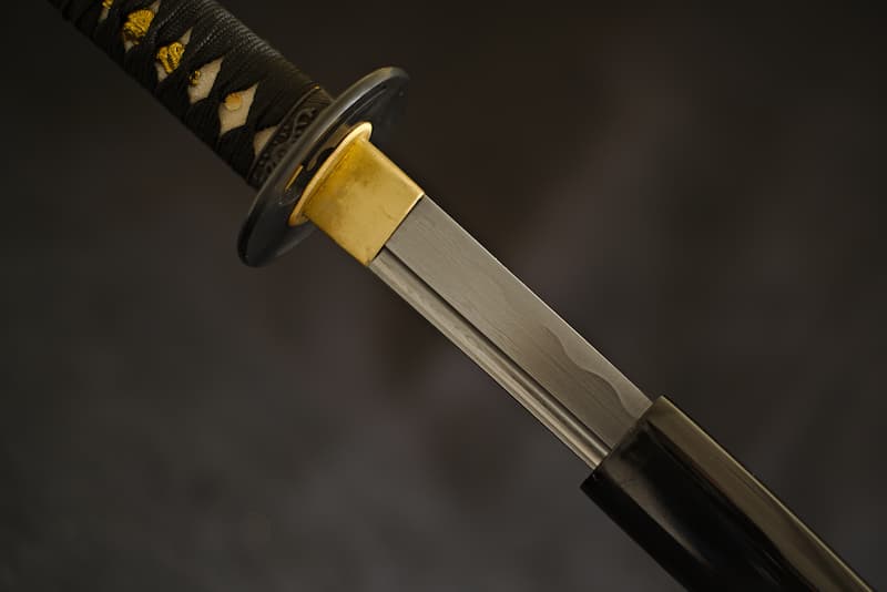 Sharp katana, damascened forge, with scabbard (saya 鞘) black, delivered in a wooden box containing a maintenance kit and a protective cloth cover | It's in the dead of night that I conceal myself to better approach my enemies and reduce them to nothing. I've served several samurai, and even a Daimyō (大名), the military man of exceptional accomplishments who became a provincial governor.