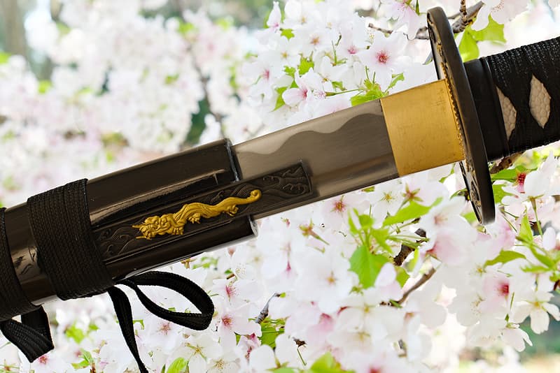 Sharp katana with scabbard (saya 鞘) in wood, supplied with protective fabric cover | As the proverb says: "The most beautiful flower is the cherry blossom, the best man is the warrior" (花は桜木人は武士).