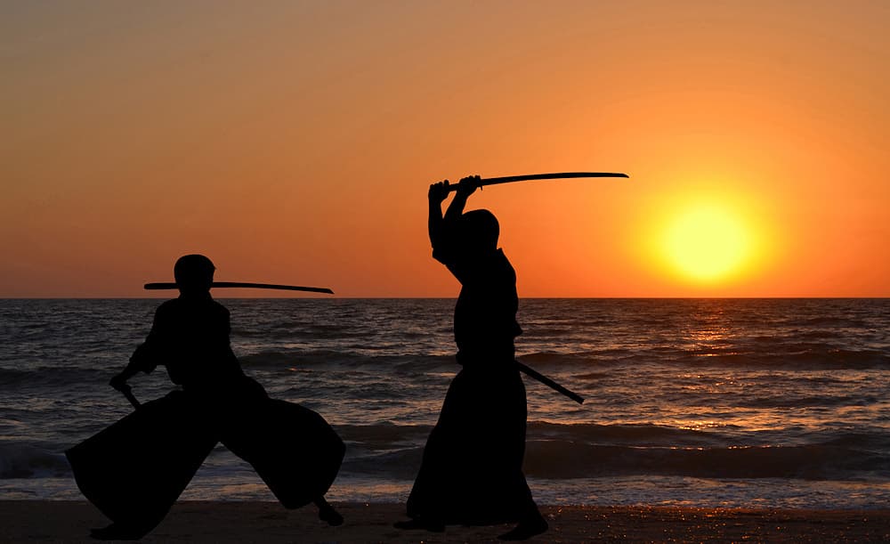 Classement des katanas selon leur poids | Outil d'aide à la décision #Terressens