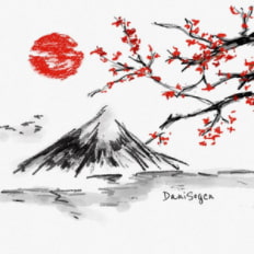 Arisa, "Hanagasumi", DaniSogen