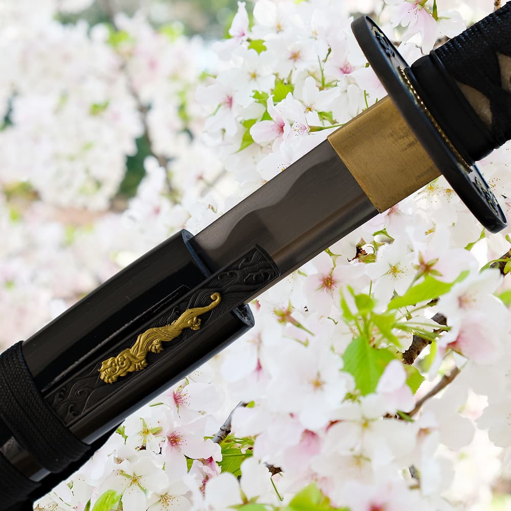 Sakura, wakizashi aiguisé (桜 fleur de cerisier) #Terressens