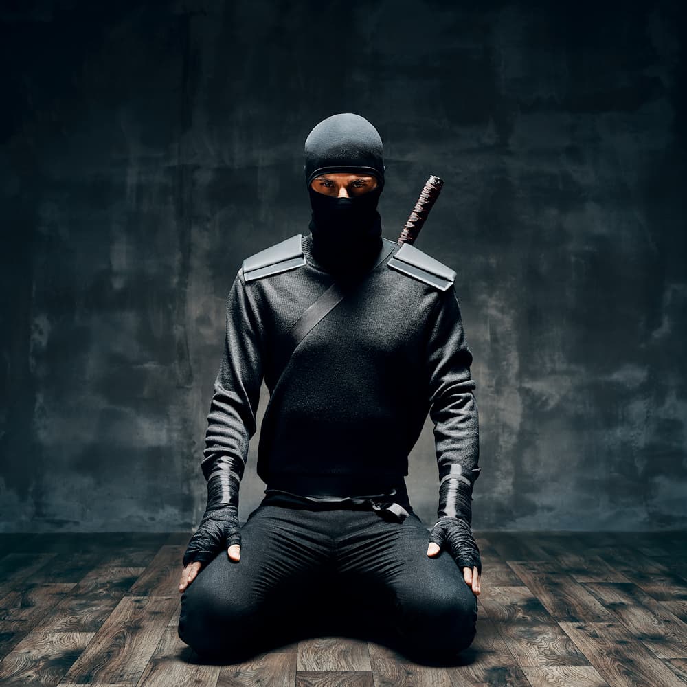 Ninjato #Terressens