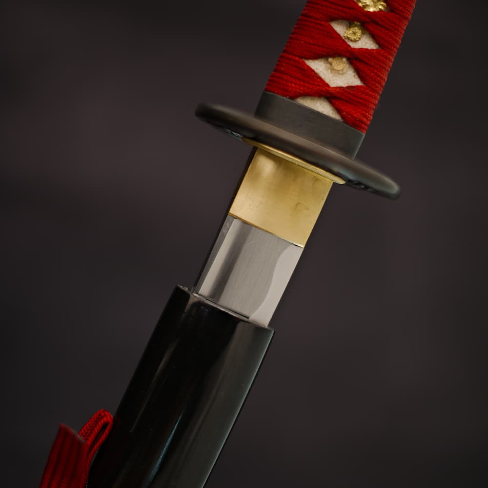 Ake sharpened wakizashi (朱, blood red), ito and dark red sageo #Terressens