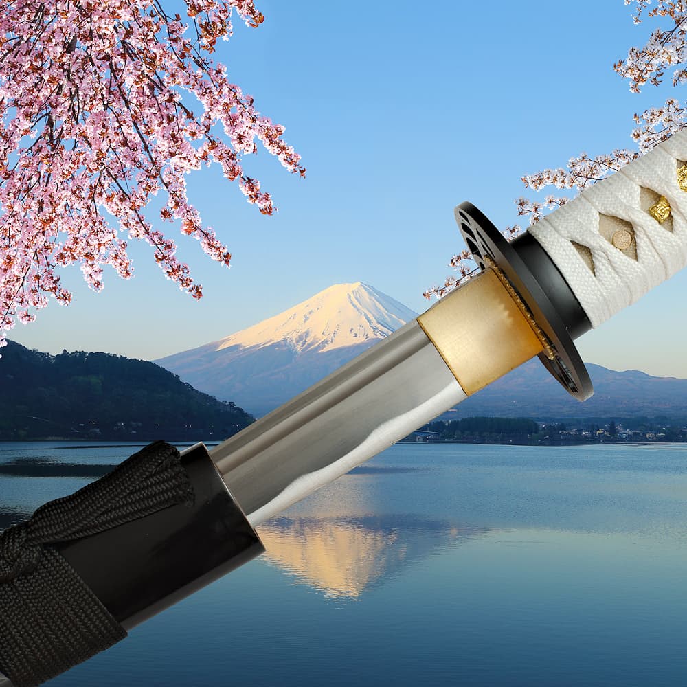 Wakizashi sharpened Konohana-no-Sakuya (木花之佐久夜) #Terressens