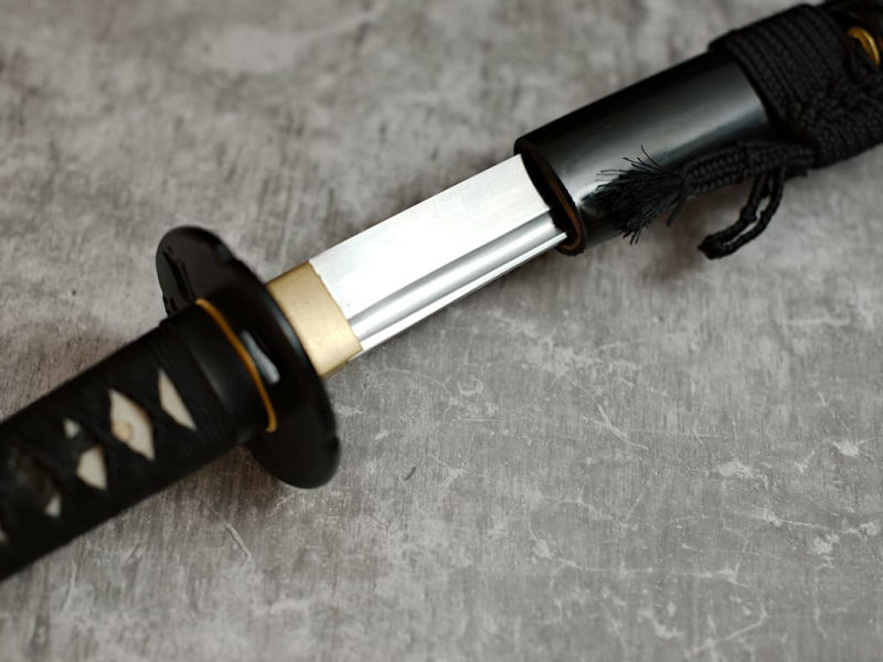 Iaito (iaitō) rensei (錬成 training), unsharpened katana #Terressens