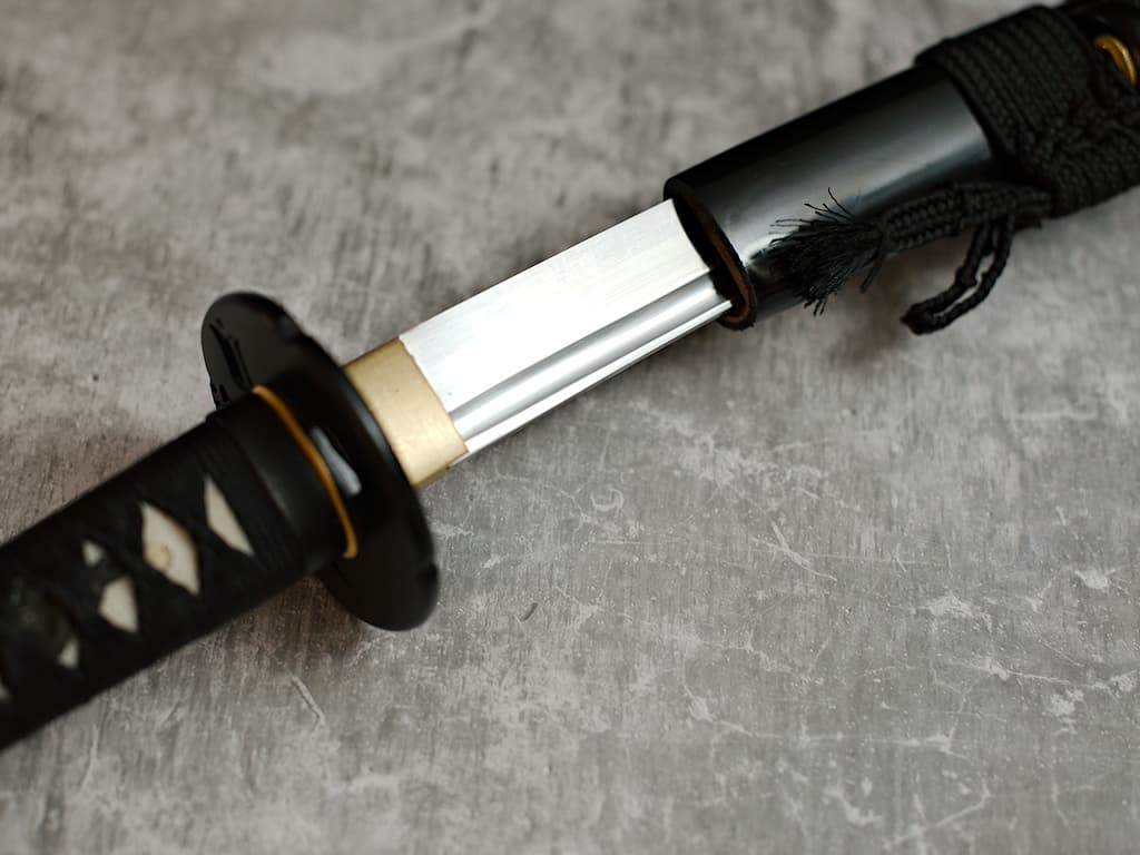 Iaito (iaitō) rensei (錬成 training), unsharpened katana #Terressens