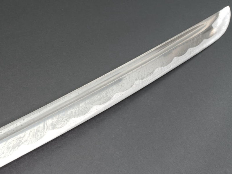 Surface of a katana blade shortly after a cutting session