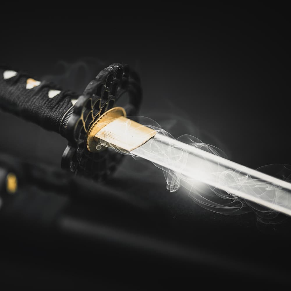 Which type of katana to choose? | Decision-making tool #Terressens