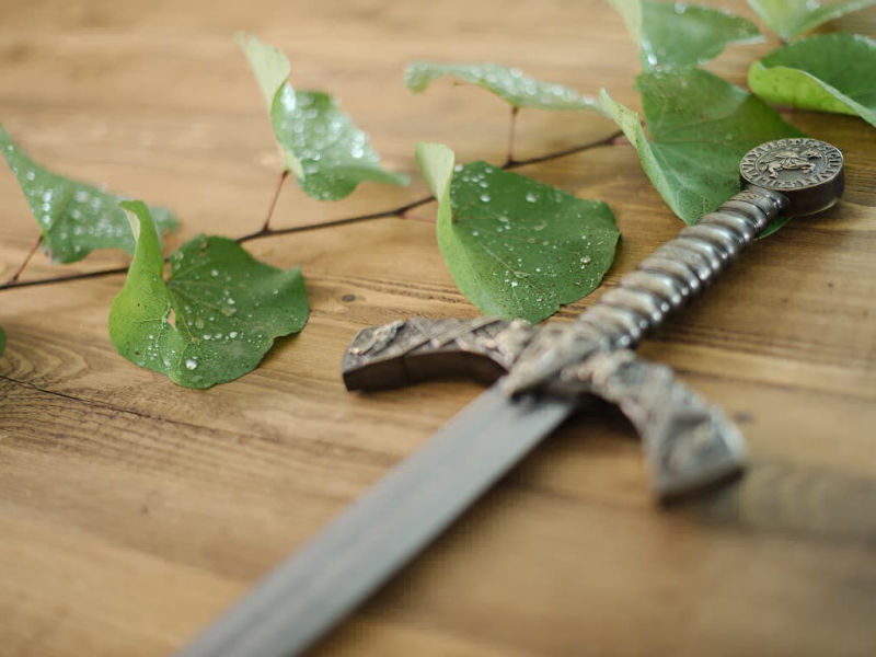 Decorative Templar sword with black scabbard, set on a wooden table decorated with vegetation and dewdrops. Decorative Templar sword with black scabbard, set on a wooden table decorated with vegetation and dewdrops.