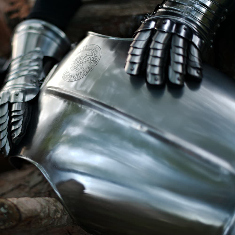 Breastplate with Templar seal and medieval knight's gauntlets Breastplate with Templar seal and medieval knight's gauntlets