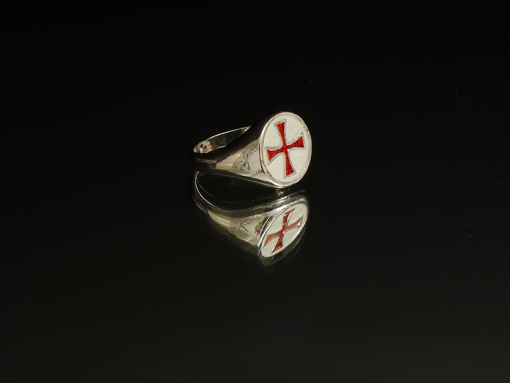 Decorative Templar sword on a rock with a moss background Red Templar cross ring #Terressens