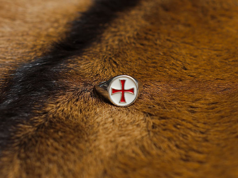 Decorative Templar sword set on a medieval wooden table, with a branch whose branches shelter dewdrops. Red Templar cross ring #Terressens